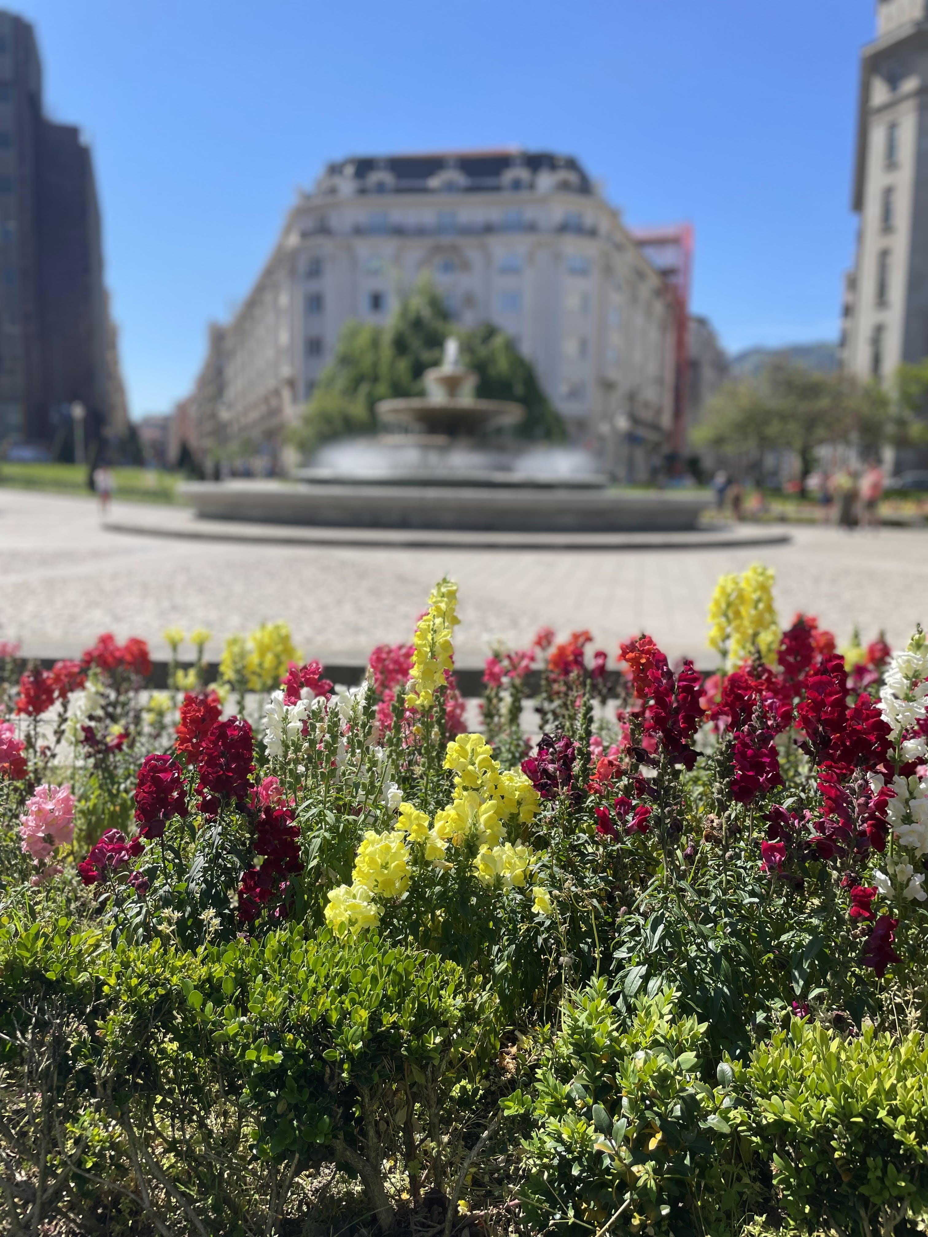 flowers with fountain in background